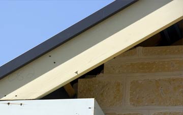 Renfrewshire fascia repairs