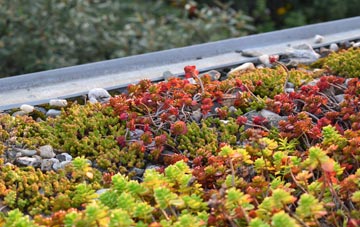 the cost of Renfrewshire green roof installation