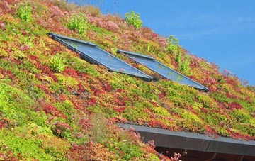 Renfrewshire living roof systems